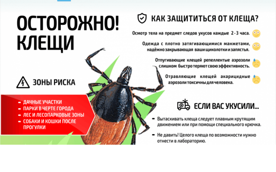 Памятка для населения по профилактике клещевого энцефалита и других инфекций, передающихся клещами