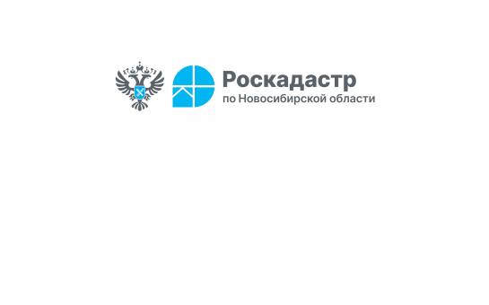 Как жителям Сузунского района можно получить сведения о недвижимости?